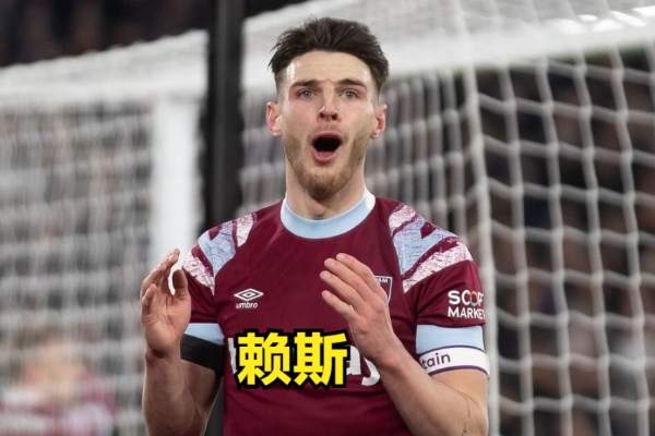 賴斯屬于什么是類型的后腰？